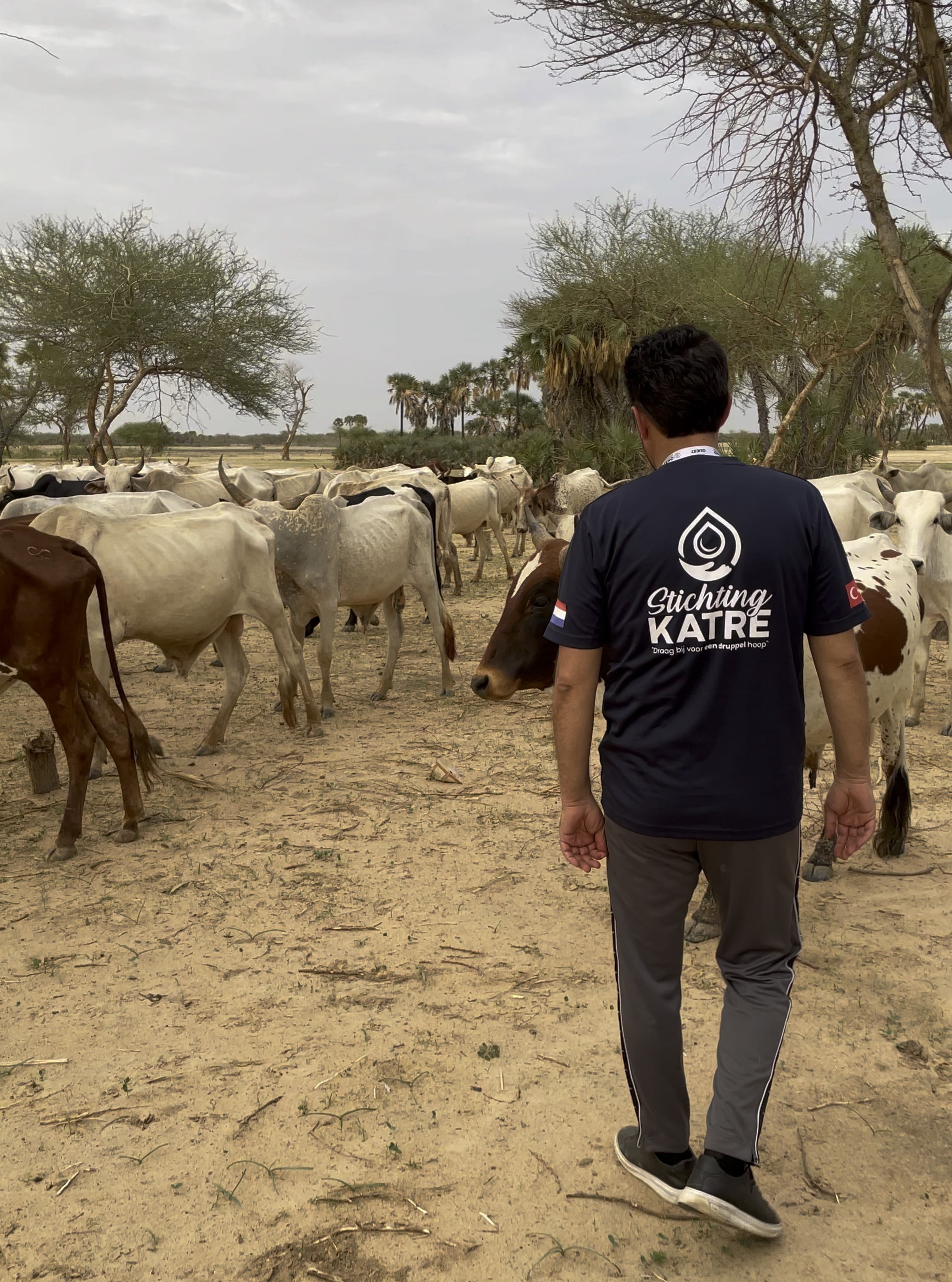 Qurban projecten Afirka