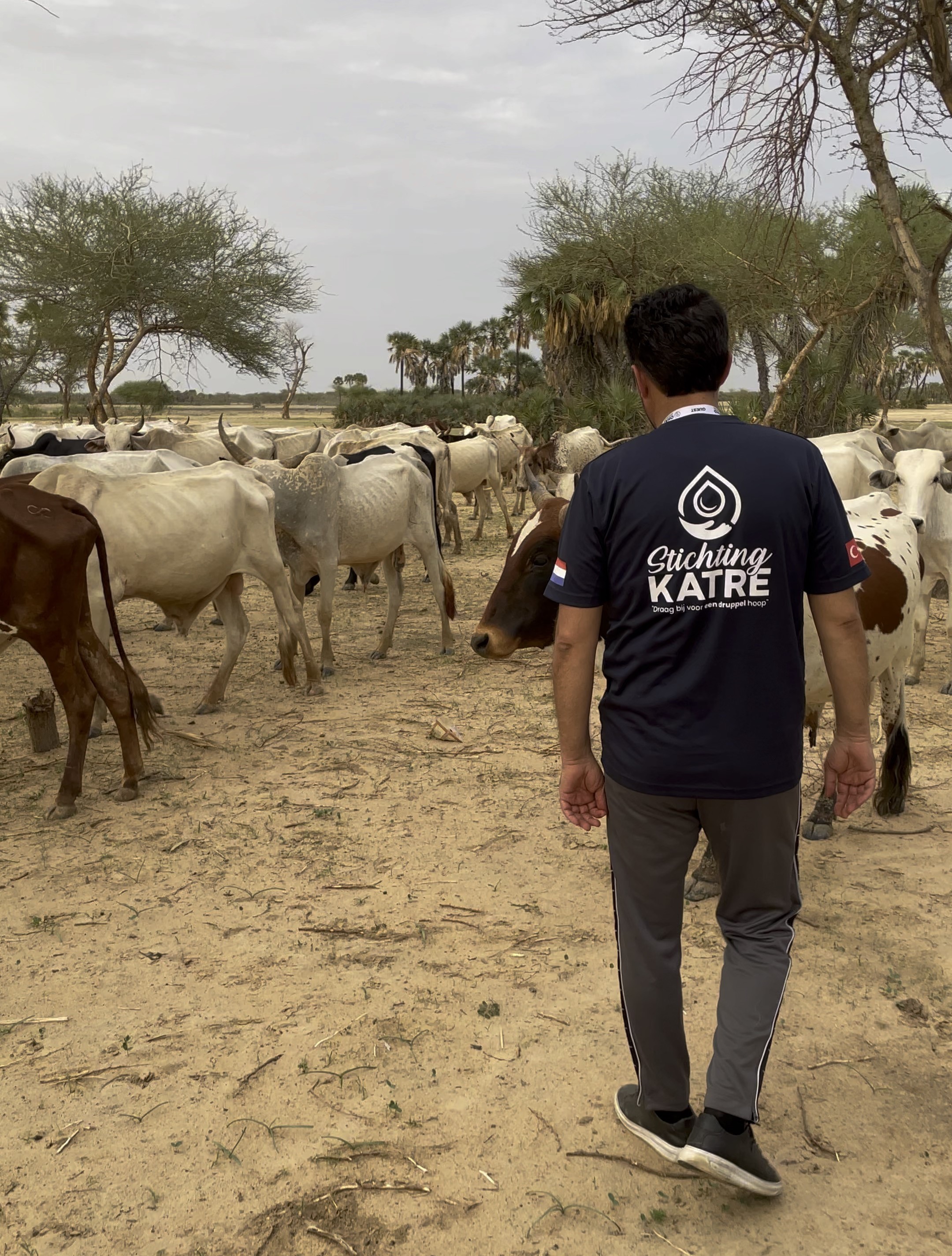 Qurban Projecten